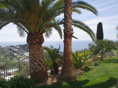 Holiday house Coldirodi, San Remo - Outdoor photo 7