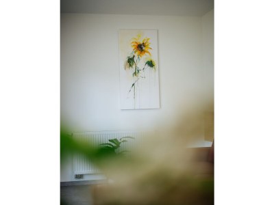 Holiday apartment Sonnenblume - am Faaker See, Villa Karglhof - Features photo 19