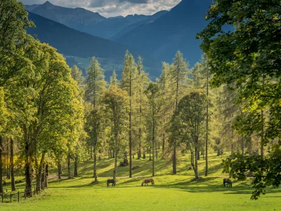 Holiday apartment in the wood house "Heimat" - Features photo 21