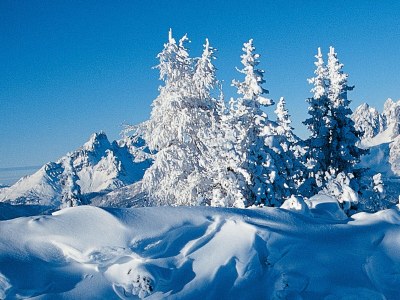 Holiday apartment in the wood house "Heimat" - Features photo 28