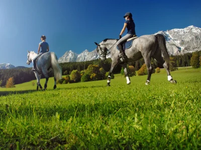 Holiday apartment in the wood house "Heimat" - Environment photo 31