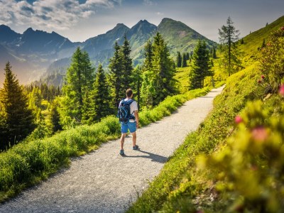 Holiday apartment in the wood house "Heimat" - Environment photo 33