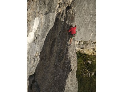 Holiday apartment Holiday home JOEL-Apartment Wildseeloder - Environment photo 15