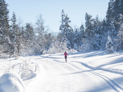 Holiday apartment Holiday home JOEL-Apartment Wildseeloder - Environment photo 19