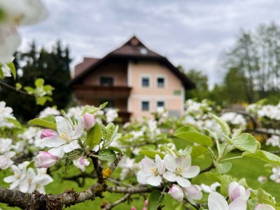 Holiday apartment "Mittel" in House Petritz - Outdoor photo 5