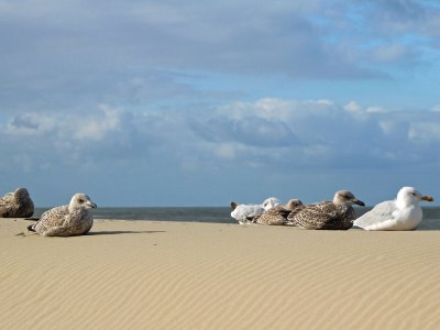 Holiday apartment Holiday Apartment Lido 2P - Environment photo 18