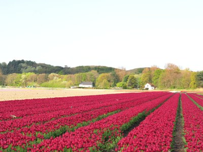 Holiday apartment Holiday Apartment Lido 2P - Environment photo 22
