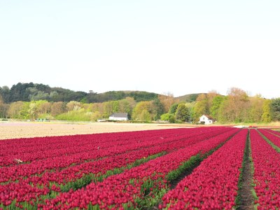 Holiday apartment Holiday Apartment Lido Comfort 4P - Environment photo 17