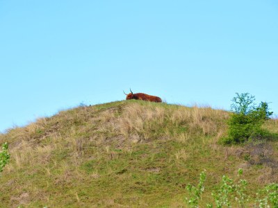 Holiday apartment Holiday Apartment Lido Comfort 4P - Environment photo 20