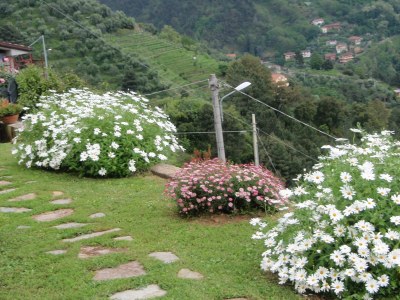 Apartment La Formica - Outdoor photo 5