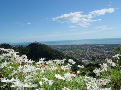 Apartment La Formica - Outdoor photo 10