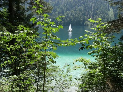 Holiday house BerghÃ¼sli - Environment photo 12