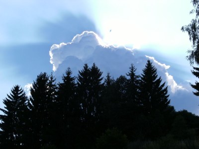 Holiday house BerghÃ¼sli - Environment photo 13