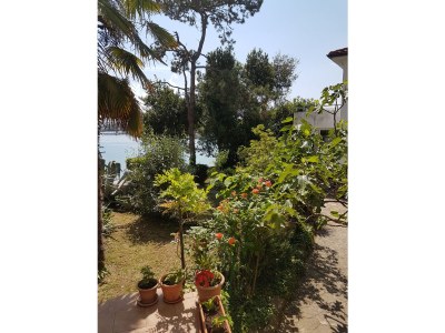 Holiday apartment Pejnovic 2 - Outdoor photo 10