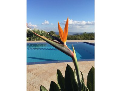 Holiday house Villa Louisa - Outdoor photo 6