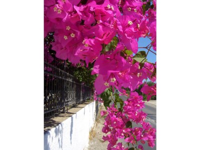 Holiday house Villa Louisa - Environment photo 34