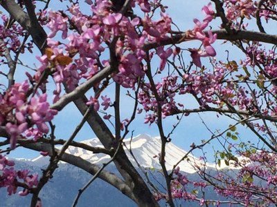 Holiday house Villa Louisa - Environment photo 38