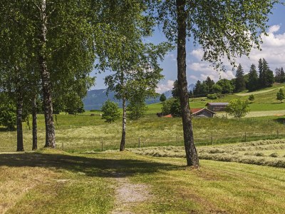 Holiday apartment 2-rooms with mountain view - Environment photo 19