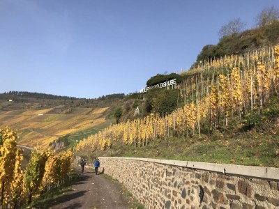Holiday house "Altes Winzerhaus" - Environment photo 19