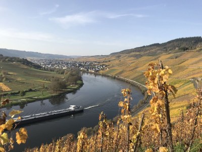 Holiday house "Altes Winzerhaus" - Environment photo 20