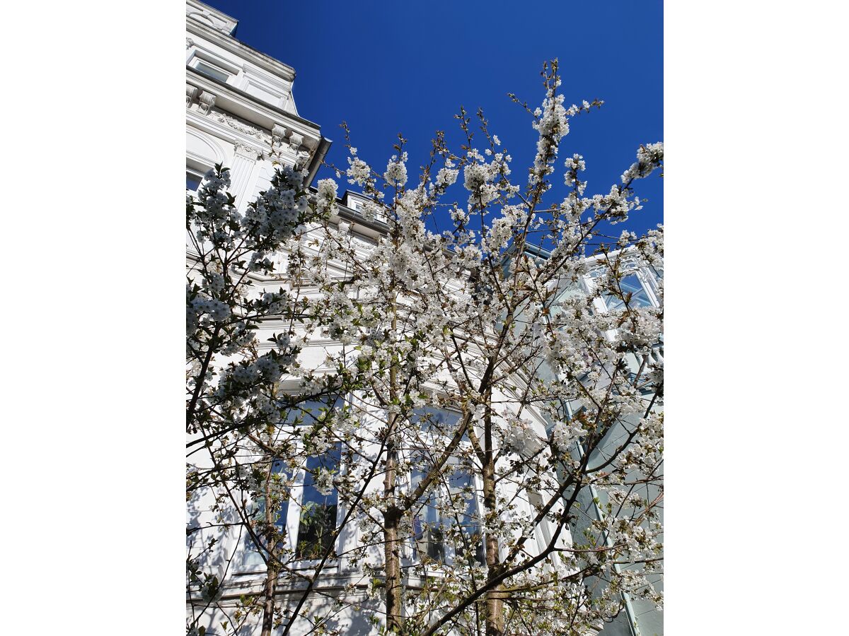 Holiday apartment “the basement” – the coolest short-term stay in town - Outdoor photo 4