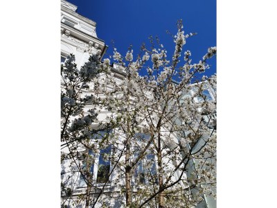 Holiday apartment “the basement” – the coolest short-term stay in town - Outdoor photo 4