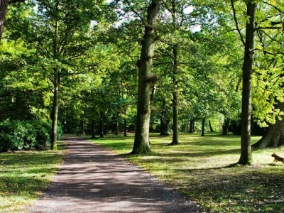 Holiday apartment “the basement” – the coolest short-term stay in town - Environment photo 26