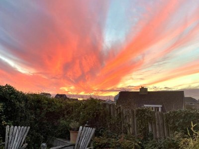 Villa Ideaal - Environment photo 25