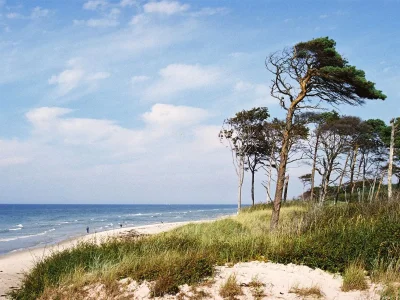 Holiday house Schifferwiege - Environment photo 20