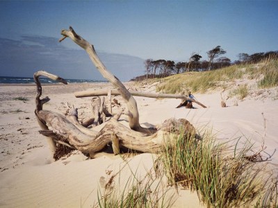 Holiday house Schifferwiege - Environment photo 23