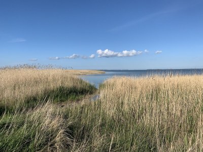 Holiday house Schifferwiege - Environment photo 29