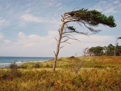 Holiday house Schifferwiege - Environment photo 30