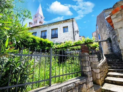 Villa Villa Carla in Vrsar - Villa