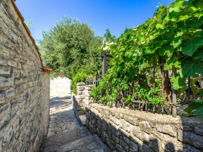 Villa Villa Carla - Environment photo 30