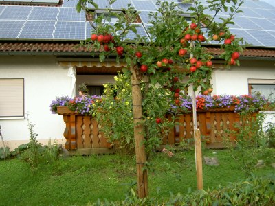 Holiday apartment House Forest view - Outdoor photo 2