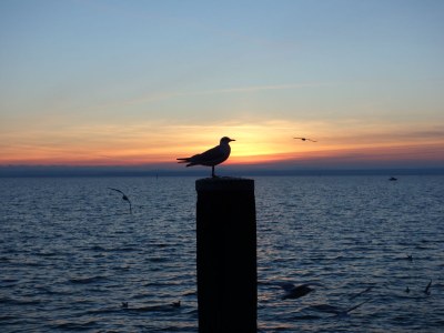 Holiday apartment House Forest view - Environment photo 20