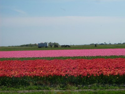 Holiday apartment Callantsduyne 24 - Environment photo 27