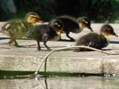 Holiday apartment Castel view Eichstätt - Outdoor photo 6