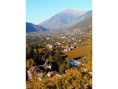 Holiday apartment Haus Weinmesser - Environment photo 12