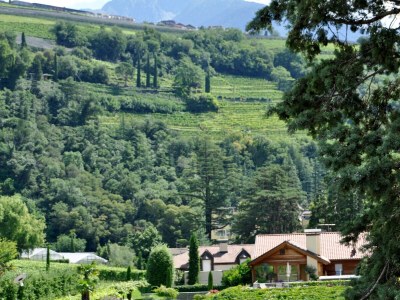 Holiday apartment Haus Weinmesser - Environment photo 13