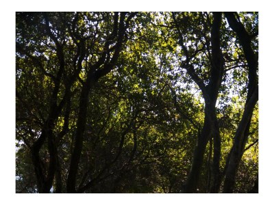 Holiday house Sunrise in Marathia Cottages - Outdoor photo 9