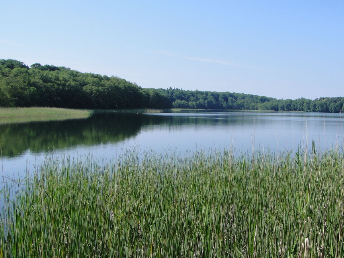 Holiday house Försterhaus am Linowsee - Outdoor photo 2