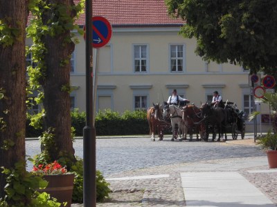 Holiday house Försterhaus am Linowsee - Environment photo 24