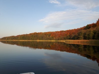 Holiday house Försterhaus am Linowsee - Document photo 25