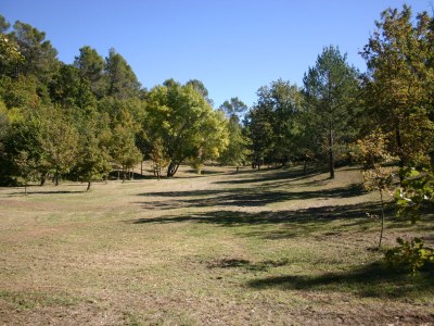 Holiday house La Bastide Blanche - Environment photo 35
