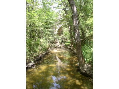 Holiday house La Bastide Blanche - Environment photo 36