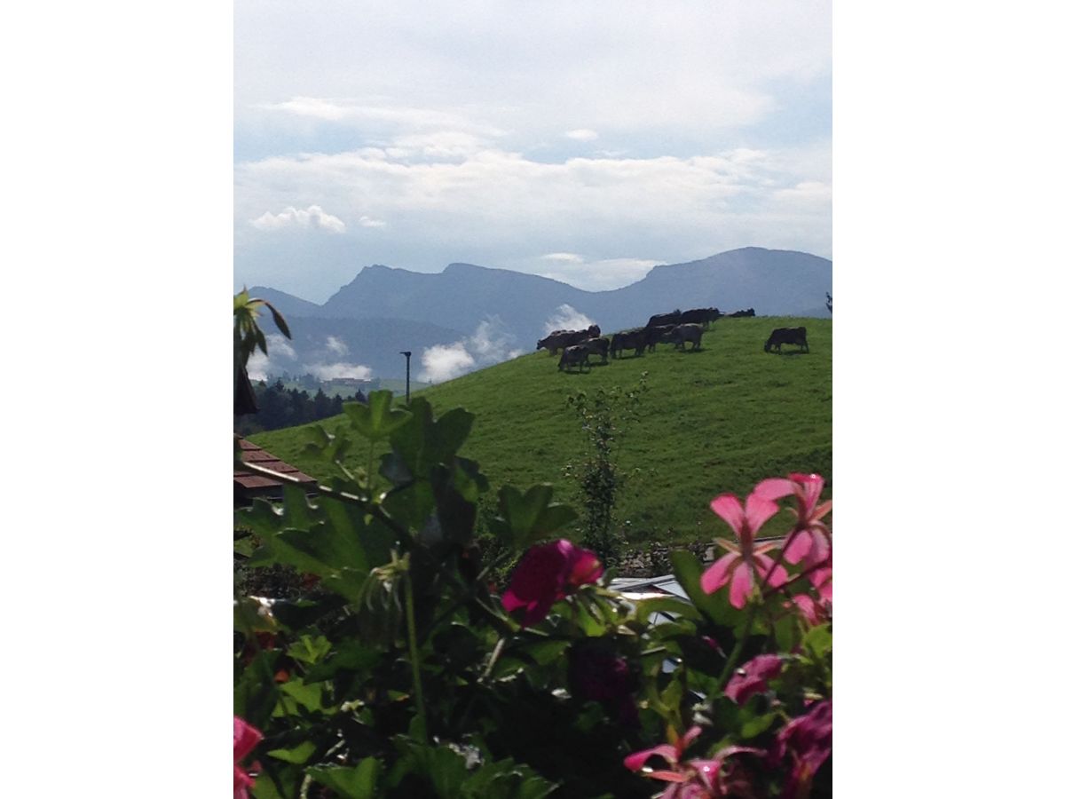 Holiday apartment Landhaus Saentisweg - "Hochgrat" - Outdoor photo 2