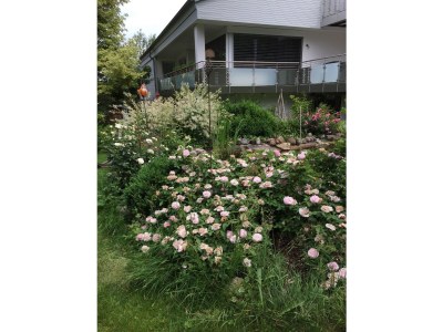 Holiday apartment Landhaus Saentisweg - "Hochgrat" - Outdoor photo 7