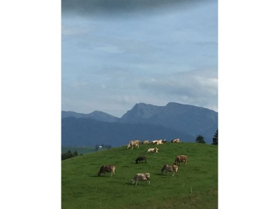 Holiday apartment Landhaus Saentisweg - "Hochgrat" - Environment photo 21