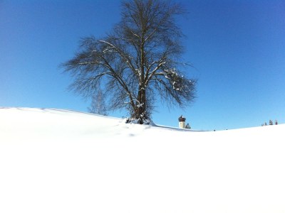 Holiday apartment Landhaus Saentisweg - "Hochgrat" - Environment photo 22